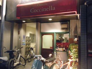 coccinella1.jpg